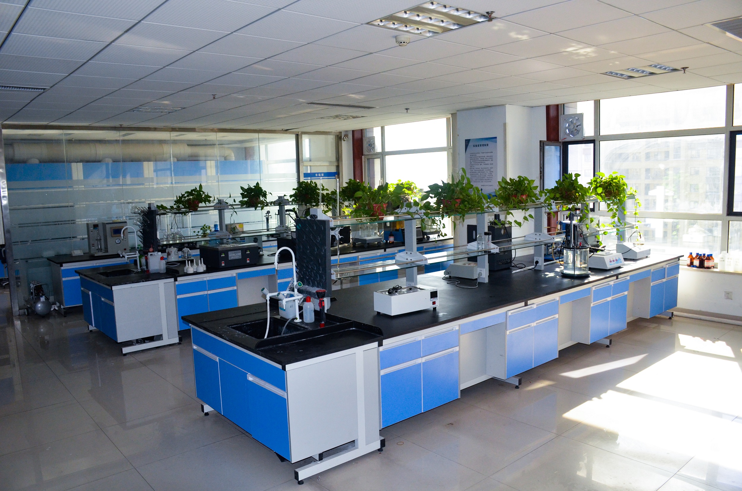 R & D strength(圖1)